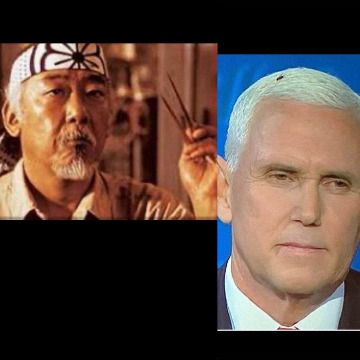 pesci (@pesci4td) on Twitter photo 