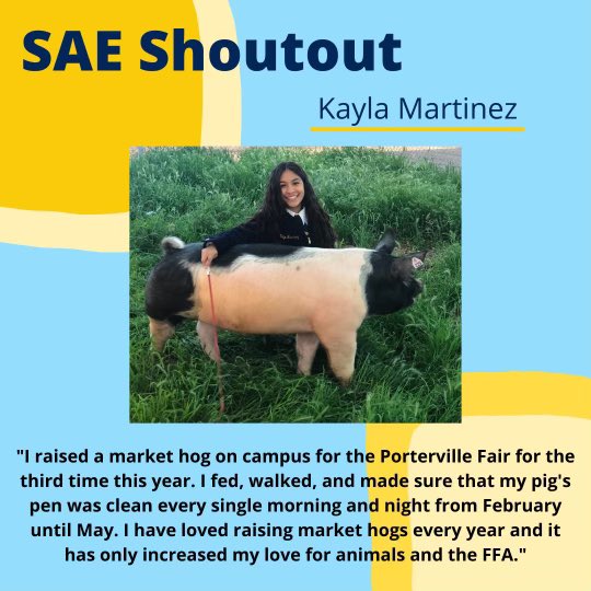 During our first meeting on Wednesday, September 16th, we held our scavenger hunt and shouted out two hard-working members. This month's SAE shoutouts are to senior Kayla Martinez and freshman Cameron Shelton. Congratulations and keep up the good work!
