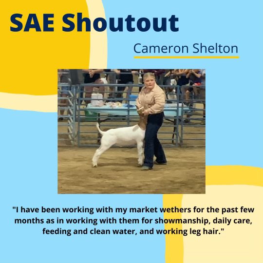 Monache FFA tweet media