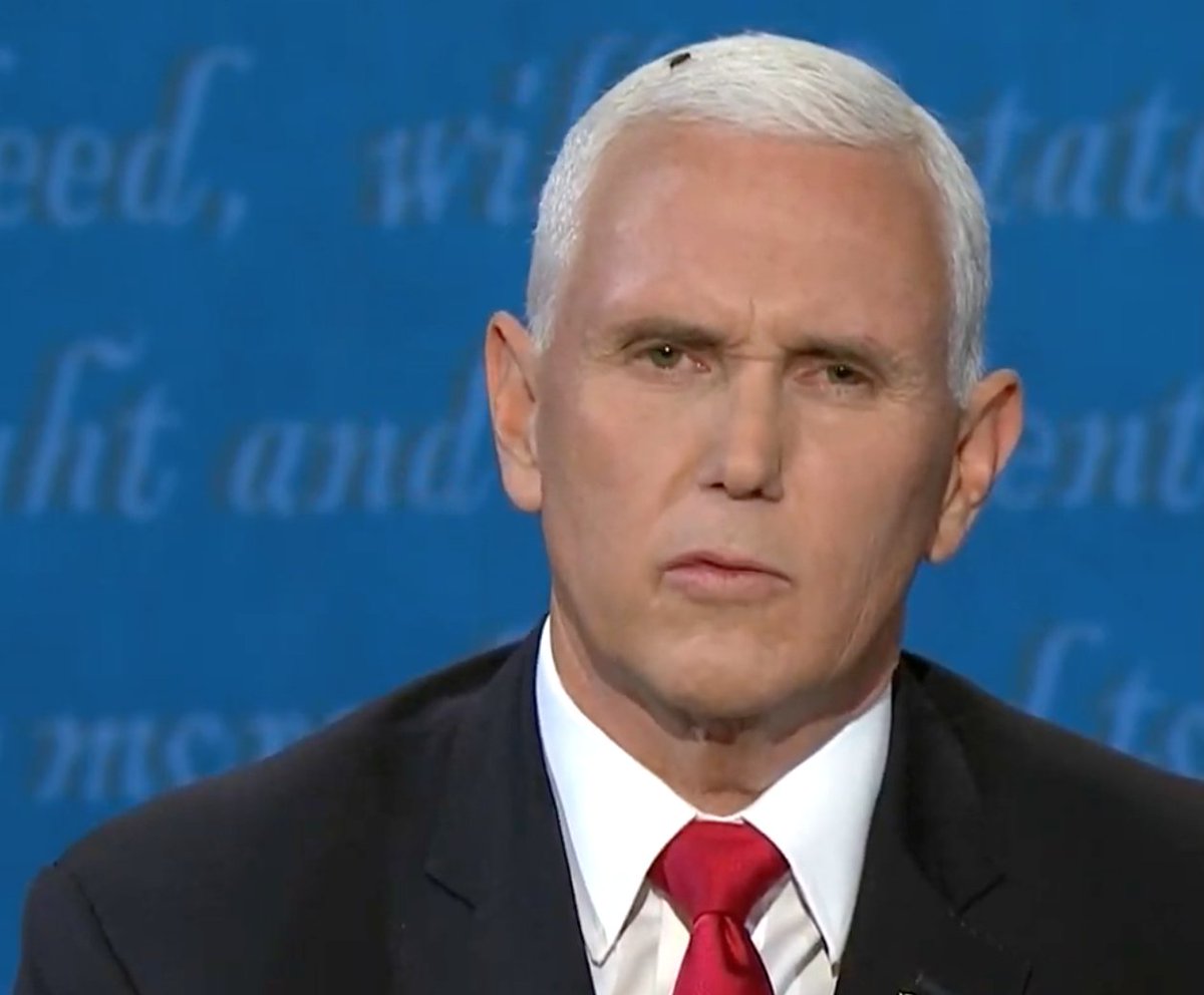 SassyNeveragain's tweet photo. @InnerVoltRock @mmpadellan @megynkelly Her facial expressions were what kept me from changing channel I couldn't look at Pence he's so #Flyle #Vile #flygate ewww gross man mother has nothing to worry about 😜😜😜😜😜 https://t.co/ZmvWEIitqW