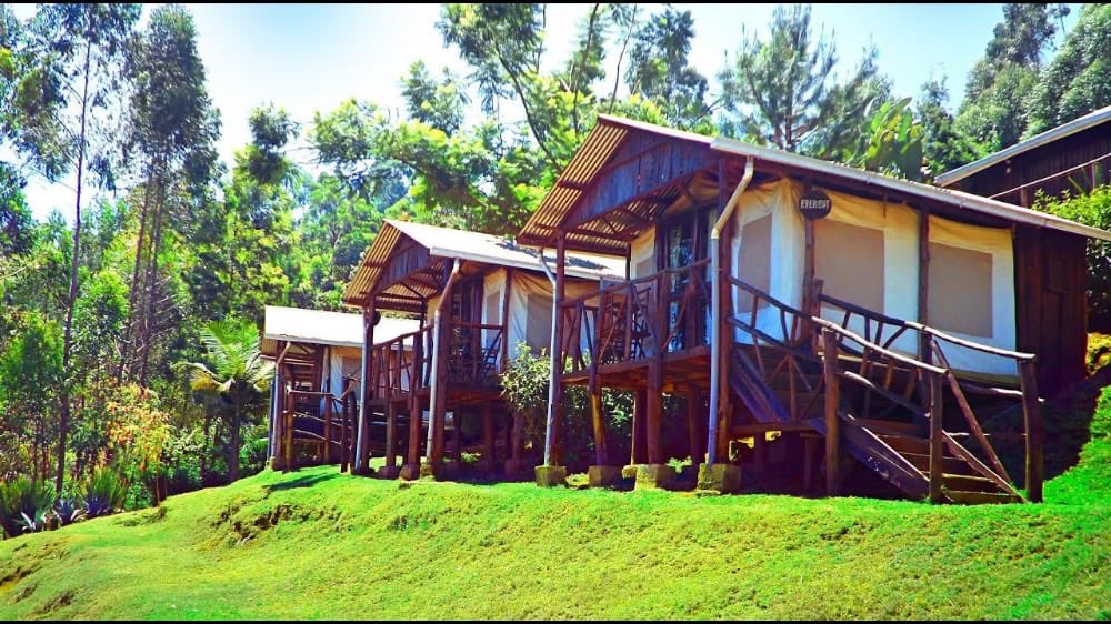 GreenKeyKenya1's tweet photo. #TravelThursday
Aberdare Cottages&amp;Fishing Lodge is an eco-resort&amp;outdoor centre on the slopes of the Aberdare Ranges.The cottages are constructed using reclaimed hard wood&amp;recycled materials.Enjoy hiking,cycling, boat riding&amp;river swimming
#tembeakenya #magicalkenya #greenkey https://t.co/sXQ4qtGMBt