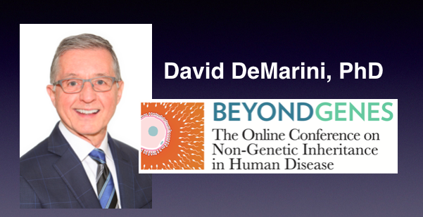 Friday's opening keynote is Dr David DeMarini, US EPA (ret) discussing the regulatory approaches (or lack thereof) to #germcell exposure to drugs and chemicals. Toxicology is somatic-cell-centric, have germ cells been forgotten? Register here to find out: BeyondGenes.org/register