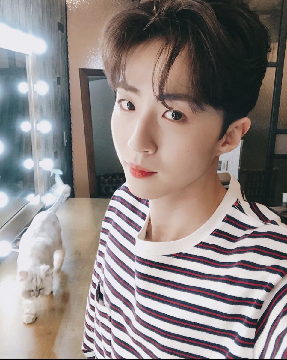 ㄹㅎ tweet media