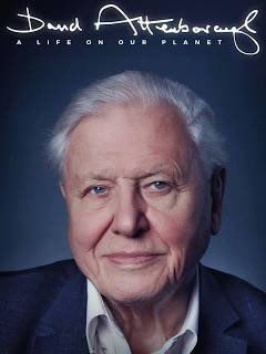 If you care anything about the planet you need to watch this. If you don’t think climate change, deforestation, over fishing, farming, &amp; renewable energy matter right now, you definitely need to watch this. #DavidAttenborough #rewildtheworld