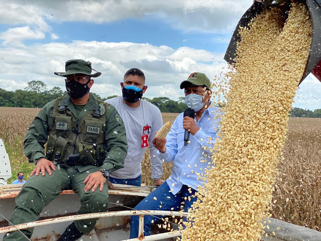 Celebramos 8 años de la Victoria Perfecta, con un país productivo; inicia el Plan de cosecha de arroz, maíz, soya y cacao, demostrando con alianzas de Producción, el trabajo integrado, que permitirá al Pueblo la Mayor suma de Felicidad Posible. ¡Producir es Vencer! Por la Patria. https://t.co/BbCljaGVhn