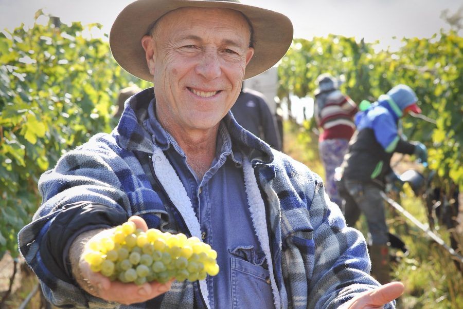The Real Review (@therealrvw) on Twitter photo #WineNews <a href="/HuonHooke/">Huon Hooke</a> - One of the stand-out Australian gold medals at the recent 2020 Decanter World Wine Awards went to <a href="/HahndorfHill/">Hahndorf Hill Winery</a> GRU Grüner Veltliner 2019. Cc <a href="/DecanterAwards/">Decanter World Wine Awards</a> <a href="/TerreaTerreWine/">Terre a Terre Winery</a> <a href="/NepentheWines/">Nepenthe Wines</a> <a href="/birdinhandwine/">Bird in Hand Winery</a> buff.ly/3izERcg #WineNews <a href="/HuonHooke/">Huon Hooke</a> - One of the stand-out Australian gold medals at the recent 2020 Decanter World Wine Awards went to <a href="/HahndorfHill/">Hahndorf Hill Winery</a> GRU Grüner Veltliner 2019. Cc <a href="/DecanterAwards/">Decanter World Wine Awards</a> <a href="/TerreaTerreWine/">Terre a Terre Winery</a> <a href="/NepentheWines/">Nepenthe Wines</a> <a href="/birdinhandwine/">Bird in Hand Winery</a> buff.ly/3izERcg