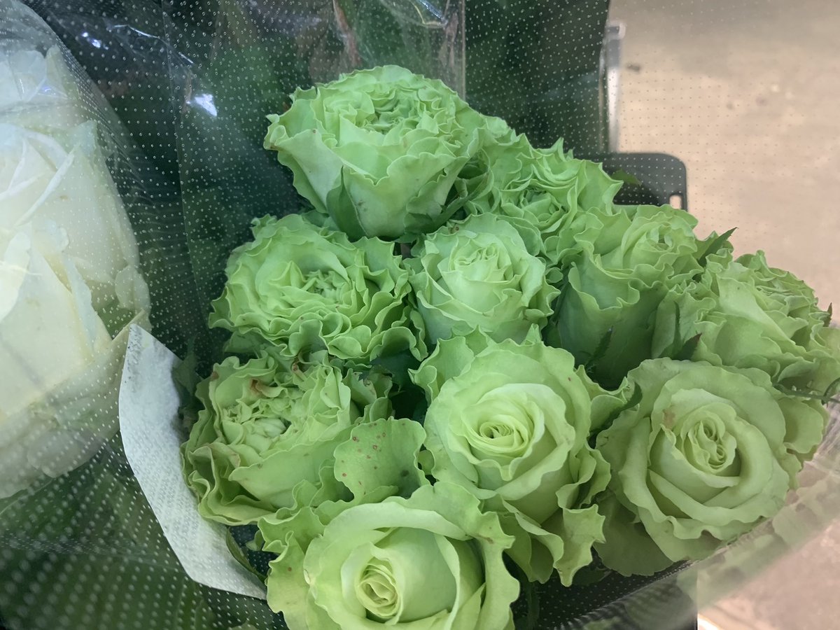 上野稲荷町の花屋 花時計 公式 スタッフのクロック 毎日1円ブーケ販売中 おはようございます 本日の営業時間は10 00 17 00です 市場に行ったら珍しいグリーンのバラを発見しました スーパーグリーン グリーン系のバラで中々流通してい 上野稲荷町の花屋 花時計 公式 スタッフのクロック 毎日1円ブーケ販売中 おはようございます 本日の営業時間は10 00 17 00です 市場に行ったら珍しいグリーンのバラを発見しました スーパーグリーン グリーン系のバラで中々流通してい
