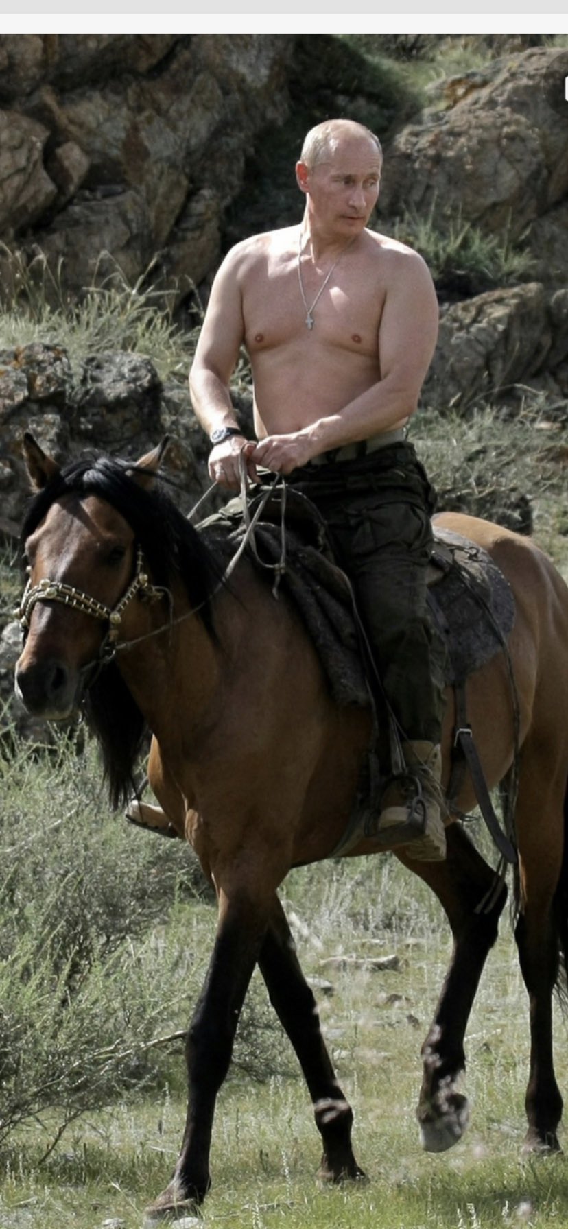 Happy bareback mountain to birthday boy Putin it to him Vladimir Putin         