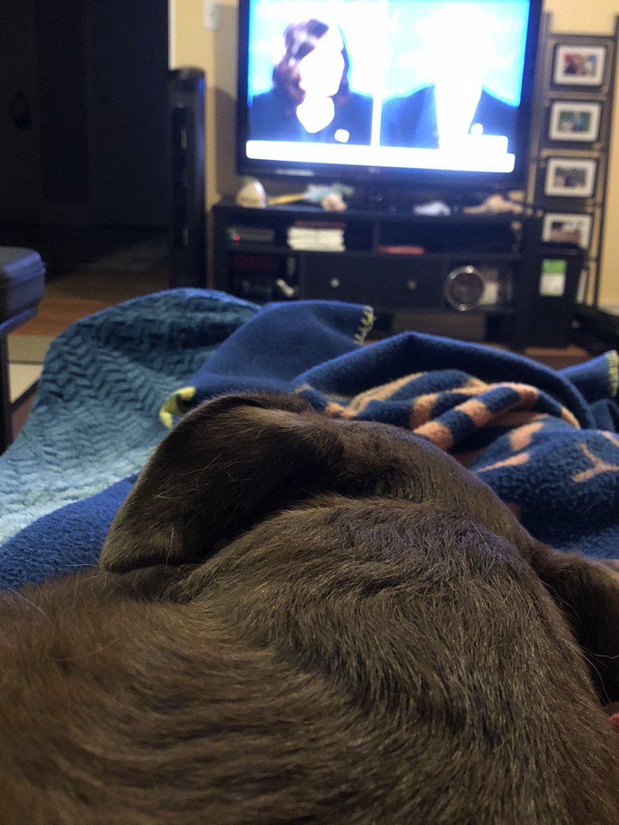 #VPDebate #debatedogs