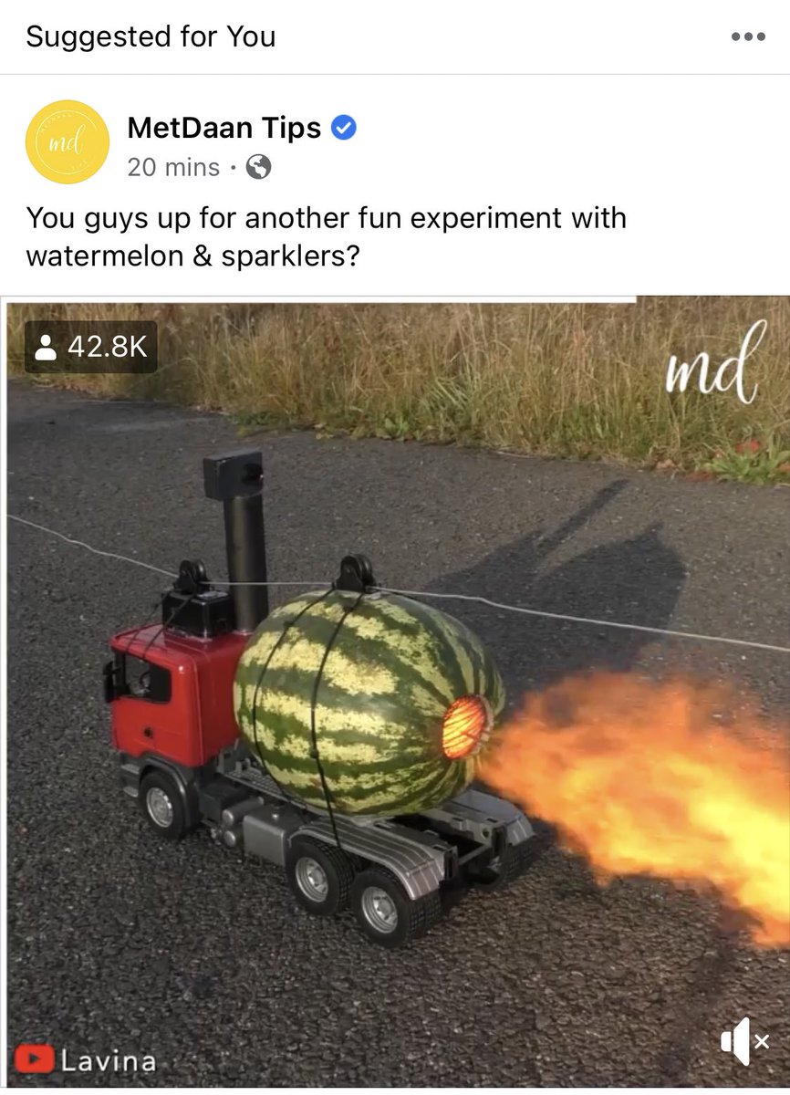 Caitlin Lancaster tweet media