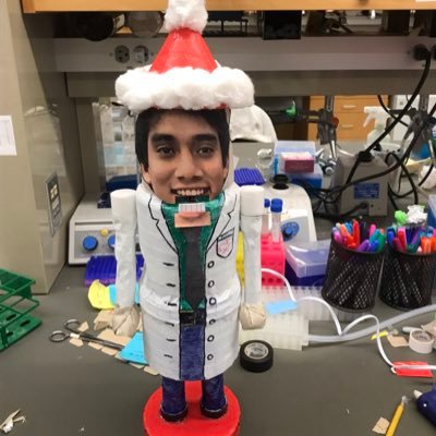 75. This  #HispanicHeritageMonth, follow Julio Miranda-Alban ( @JulioM92), coming all the way from Peru to do a PhD(C) in DevBio  @UChicago to study notch trafficking & signaling.