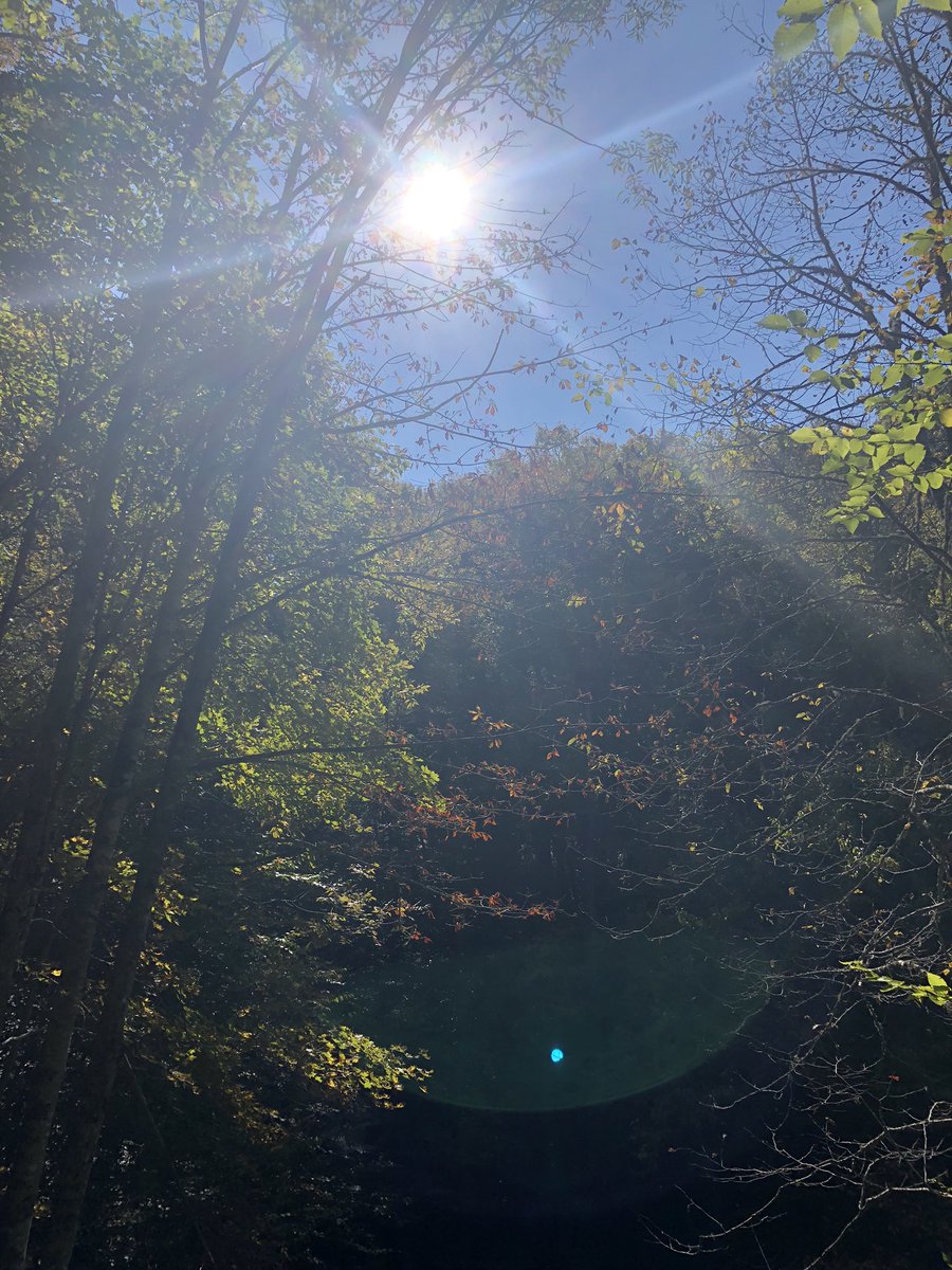 mican1966's tweet photo. ピカピカの滝に行ってエネルギーいただいてきました
#NorthCarolina #socofalls #mingofalls #浄化 #波動アップ #リラックス #光が素敵 #きらきら #滝 #エネルギーチャージ #マイナスイオン https://t.co/2gKEiXxgk6