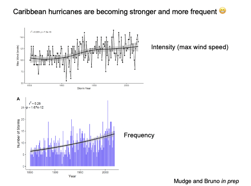 Pence "NOAA says no more hurricanes now than 100 years ago"  

@elmudge3 just presented science today in her EXCELLENT PhD defense that Caribbean hurricanes are becoming more frequent and intense. No question about it.

And this is due to ocean warming.