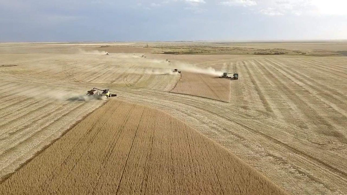 Robsworld65's tweet image. A week ago our daughter went for a run She was hit by a vehicle. In HSC with head injuries. Her mother hardly left her all week. Yesterday friends and neighbours showed up and combined 500 ac of soybeans in 4.5 hrs. Tomorrow I get to bring her home I am overwhelmed #Thanksgiving