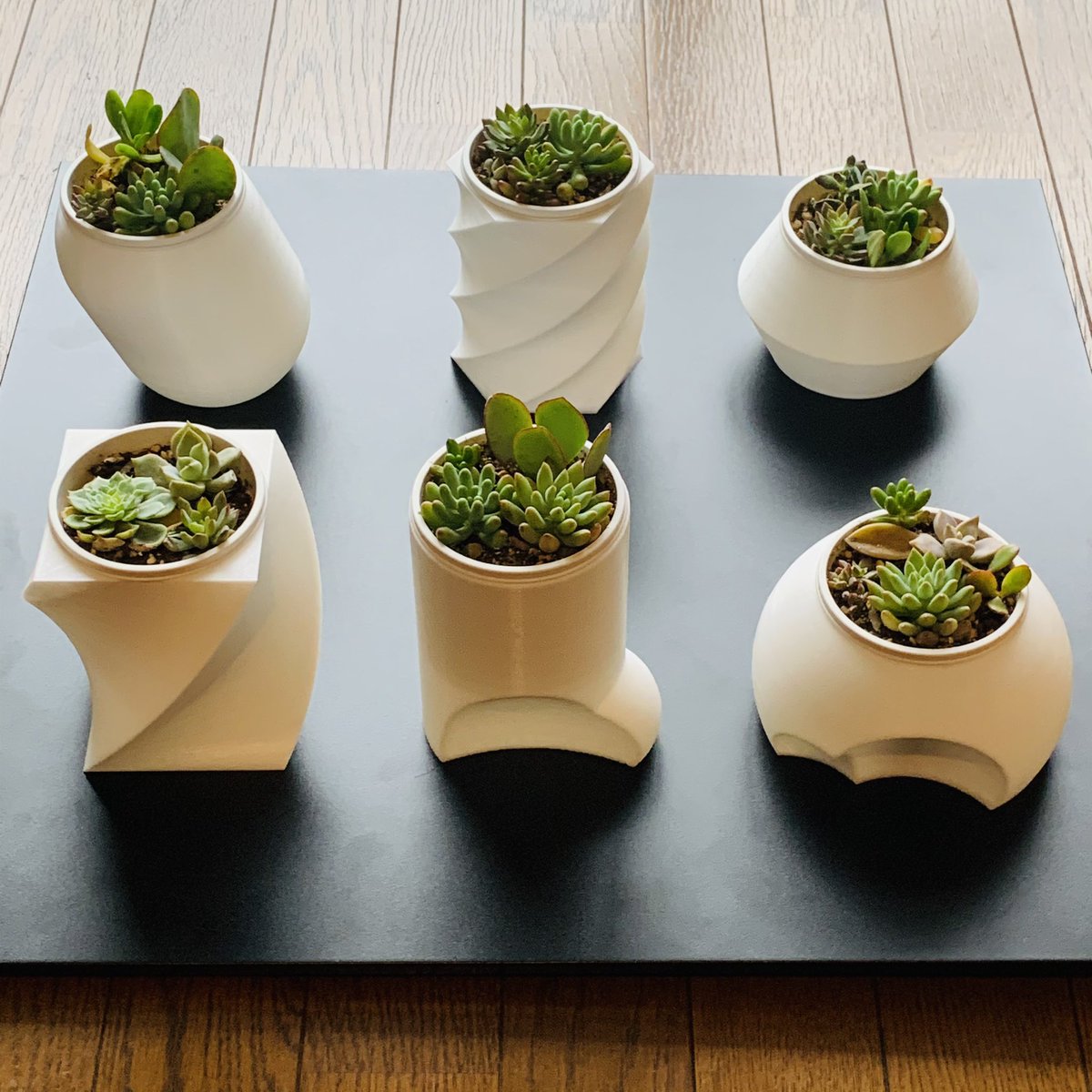 Yasutaka Fukuda 多肉植物の鉢カバー 3dプリント自作 Yasutaka Fukuda 多肉植物の鉢カバー 3dプリント自作
