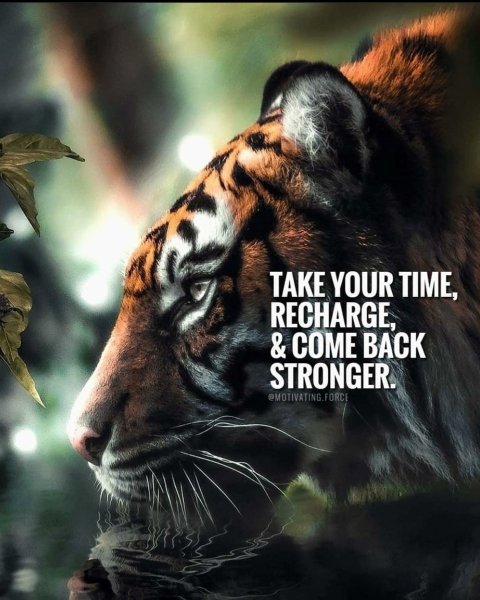 TheTiger0608's tweet photo. #AnthonyTheTigerCruz #TeamRenzoGracie @Twitter https://t.co/1eIaxlEWTq