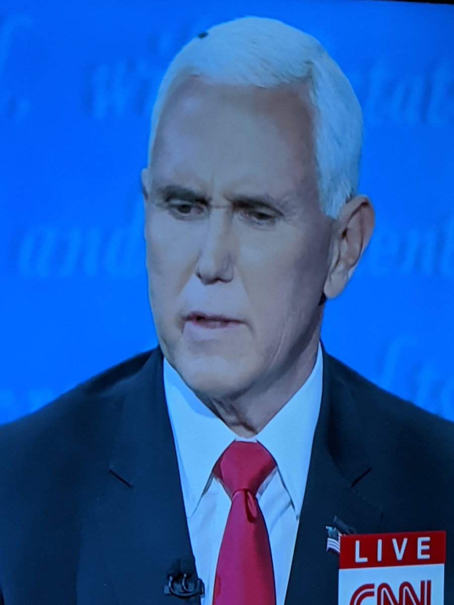THIS MAN GOT A FLY ON HIS HEAD 

#VPDebate #FlyTwitter #TeamInsect
