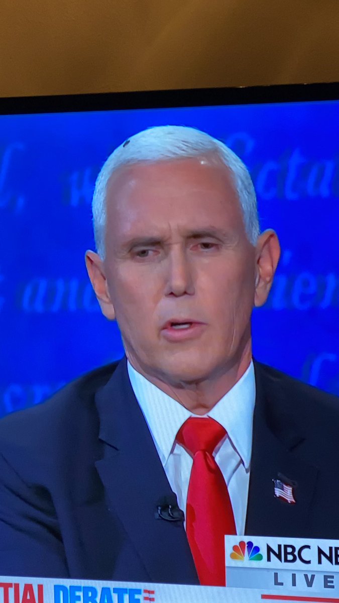 _1_forrest_1_'s tweet image. Someone please tell him #flywatch2020