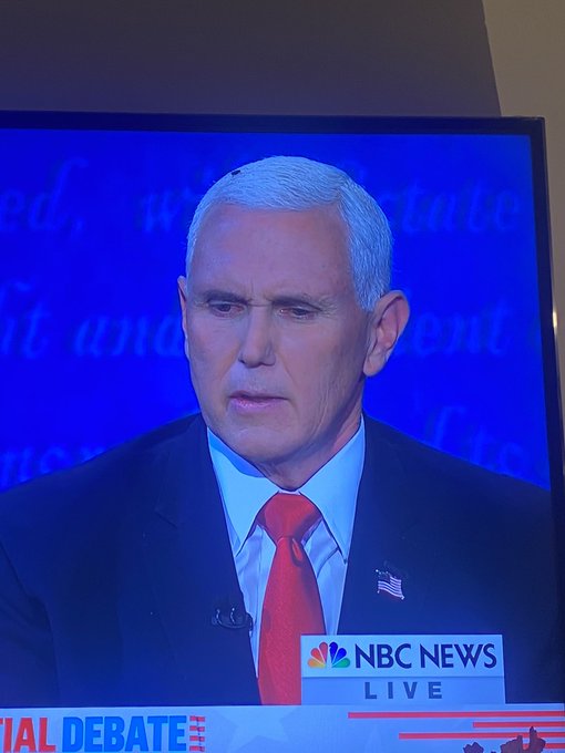 Flies ARE attracted to shit. #Debates2020 https://t.co/wLtKMMKrfc<a href="/tag/debates2020"class="tags">#Debates2020</a>