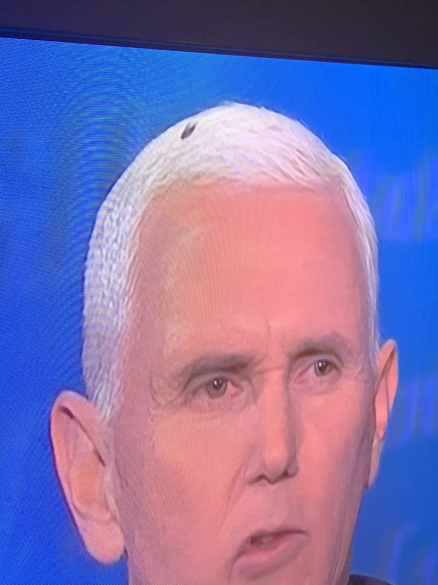 anniepw62's tweet image. A fly had died on @VP head