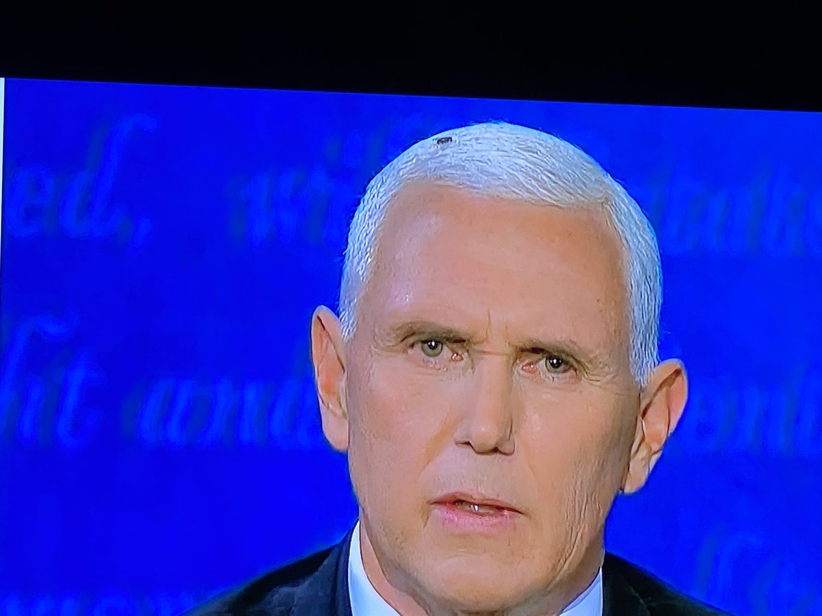 Yes, that’s a fly on his head. Interpret as you see fit.  #VPDebate  