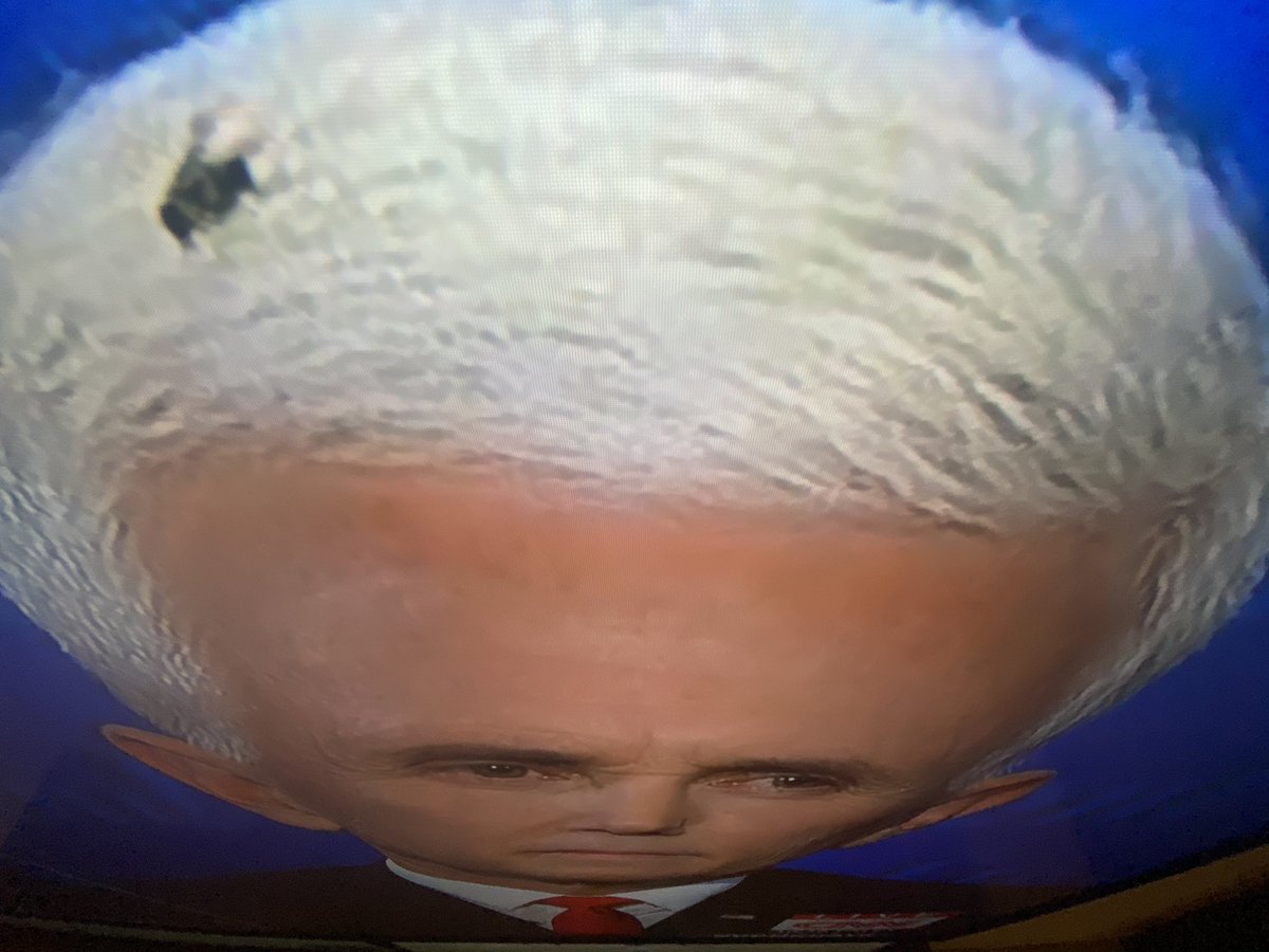 Big Cat (@barstoolbigcat) on Twitter photo 