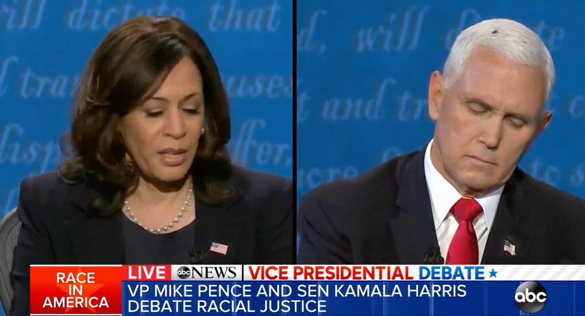 JenAshleyWright's tweet image. So, a fun art history fact! Flies are used to represent rot, wasting away, decay, death, melancholia.

A fly hovering over a church official or nobleman indicates disfavor with the  king or corruption and dereliction of duty.