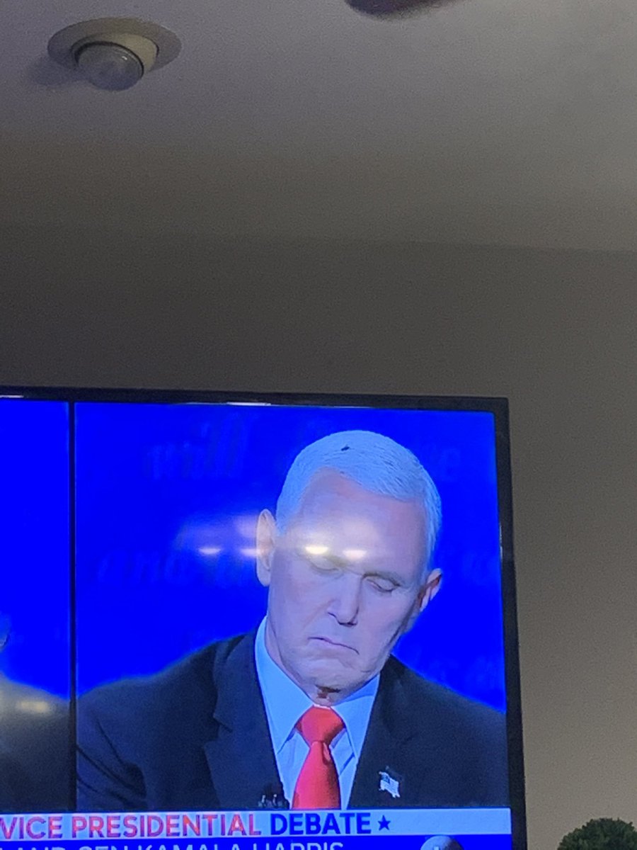 THERE IS A BUG ON HIS HEAD LMFAOOOOO