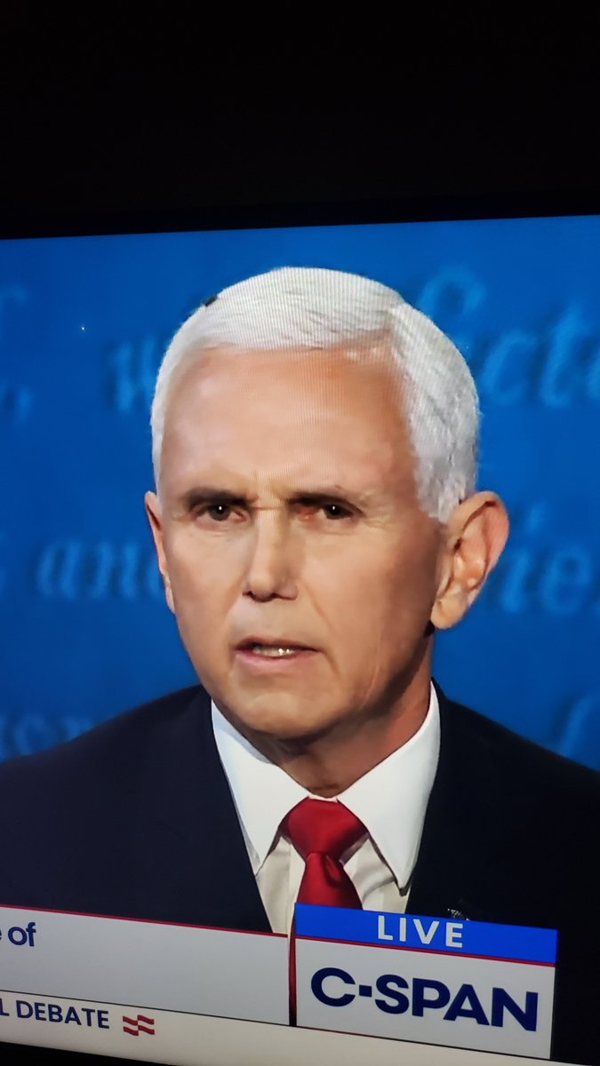 luke [from online] tweet media