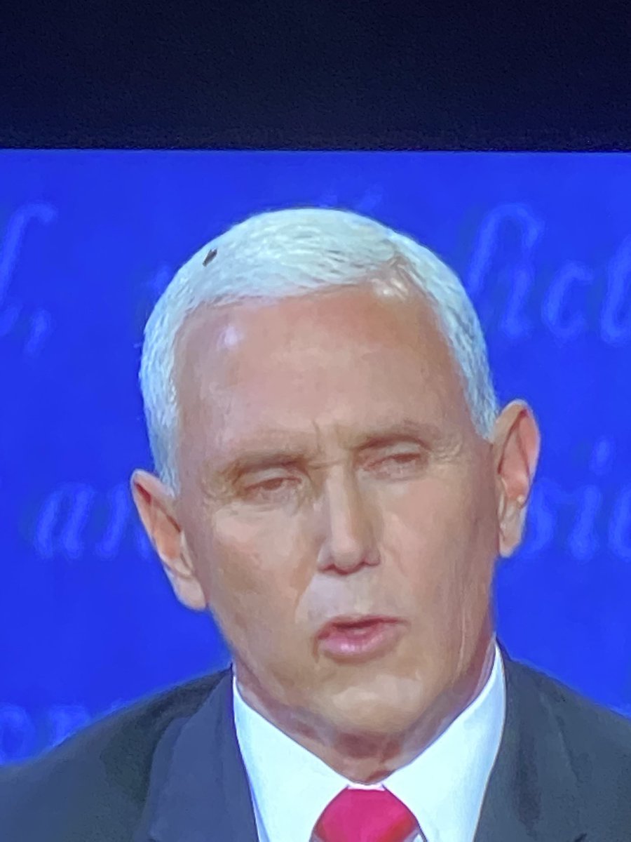 AutumnVS's tweet photo. Can we talk about the bug in Mike Pence’s hair??? https://t.co/hA0QuUhS7Z