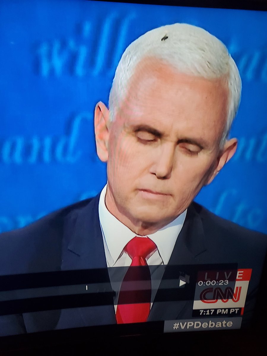 dilldumb's tweet photo. Pieces of shit do attract flies  #VPDebate https://t.co/YYXFWiLF3Z