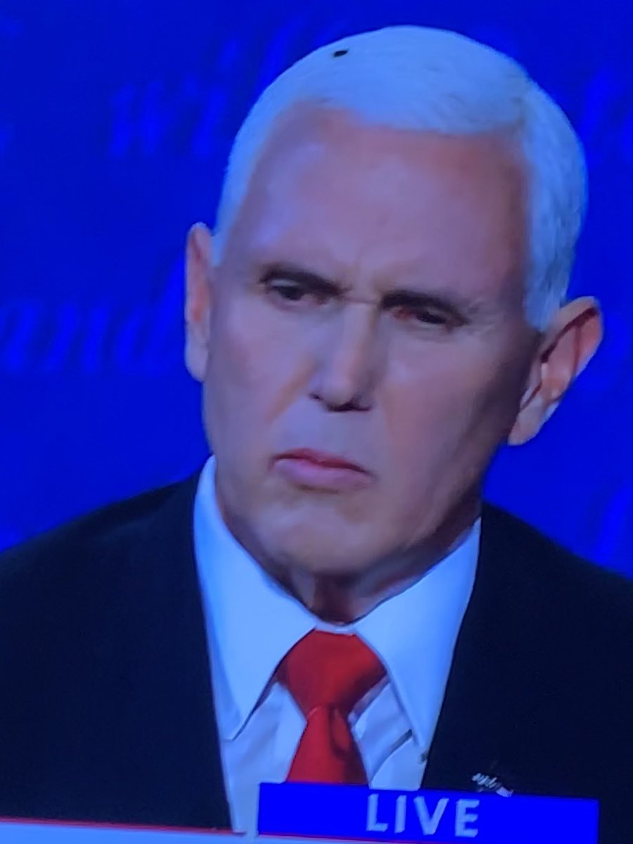 “So full of shit a fly landed on his head.” - Ren