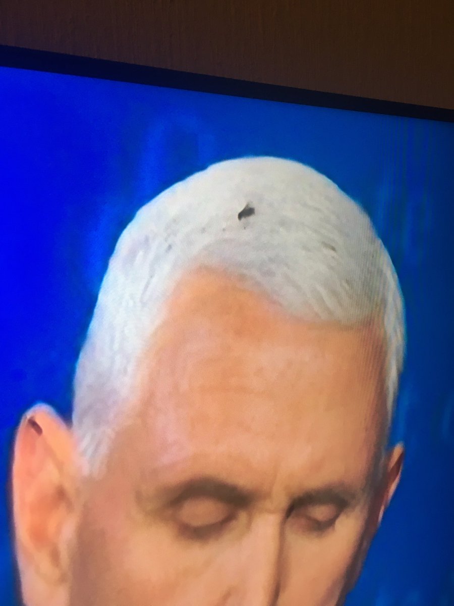 edtechworkshop's tweet image. He has a bug crawling on his head