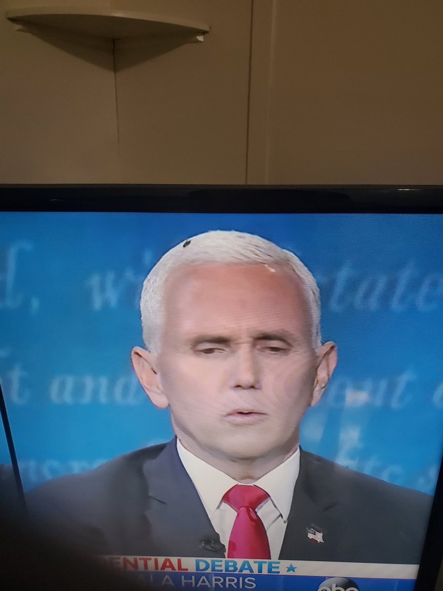 roxoutloud14's tweet photo. #doespence he has a fly on his head https://t.co/2jme5XKeVJ