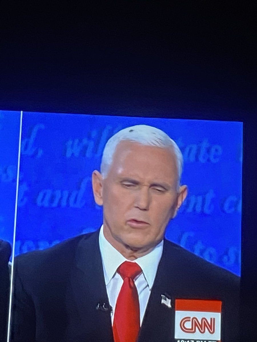 #VicePresidentialDebate2020  somebody save that poor fly!!!😭😭