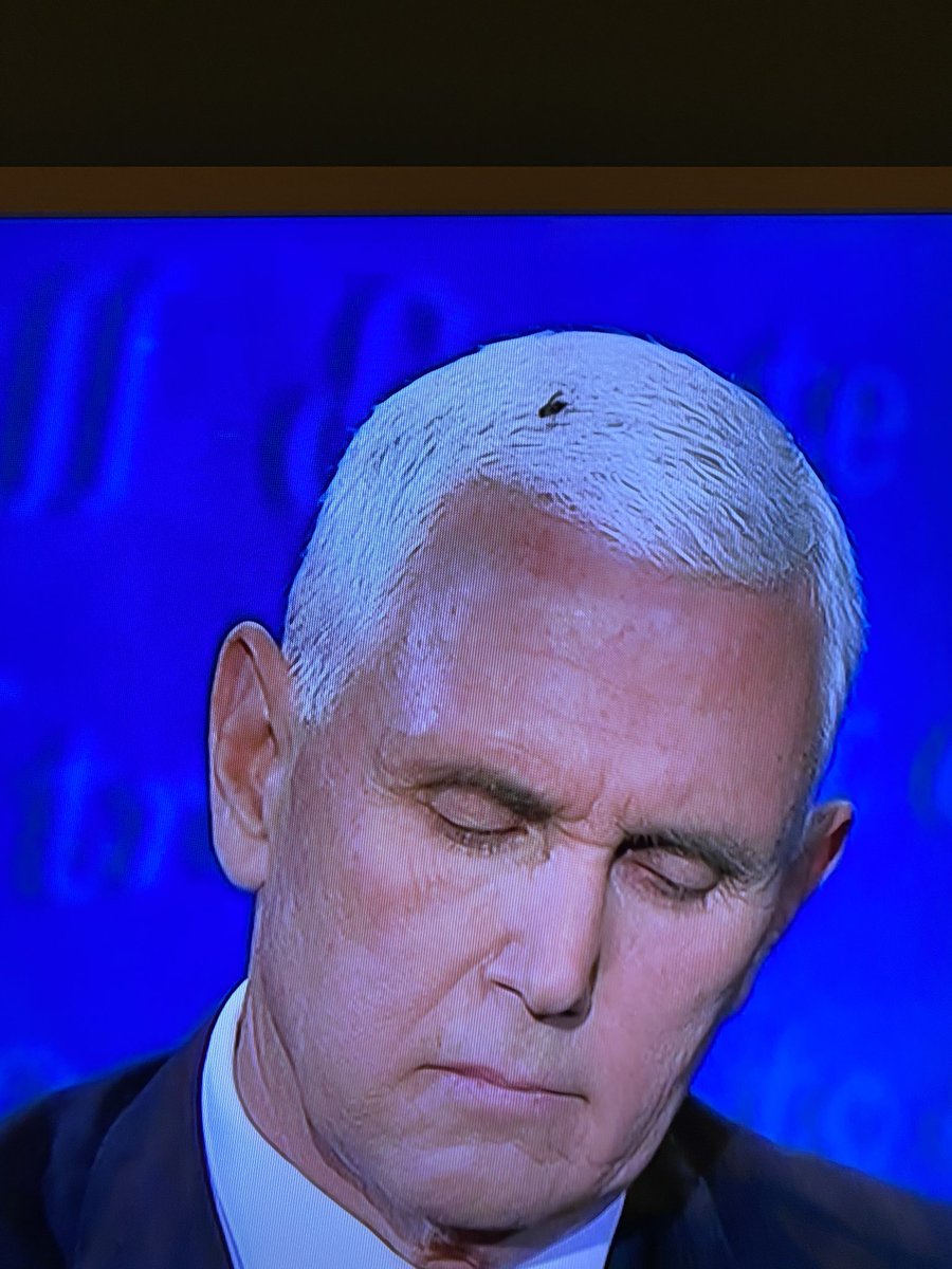 Fly on the ol’ noggin.