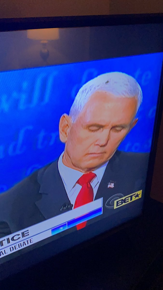 Why does <a href="/VP/">Vice President JD Vance</a> gave a fly on his head? Flys land on rotten things and he’s certainly rotten to the core. #VicePresidentialDebate2020 #VOTE #VPDebate