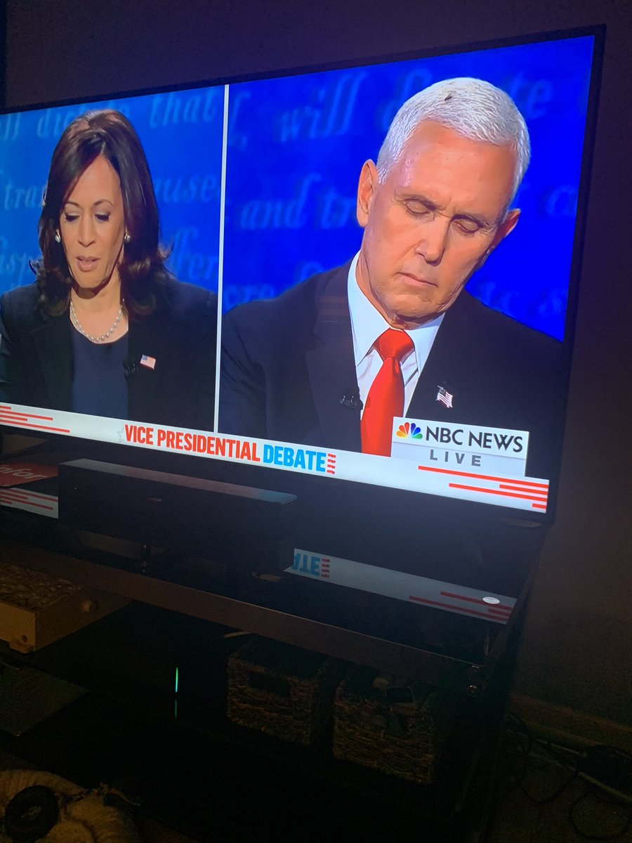 ConnorECH's tweet image. The Fly don’t lie #BugginOut #Legohead