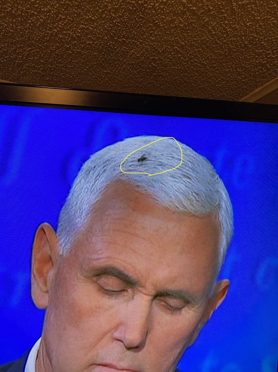 AlexxMaurer's tweet photo. Flies are attracted to garbage. #VicePresidentialDebate2020 #flygate https://t.co/MQc5Dr3NjZ