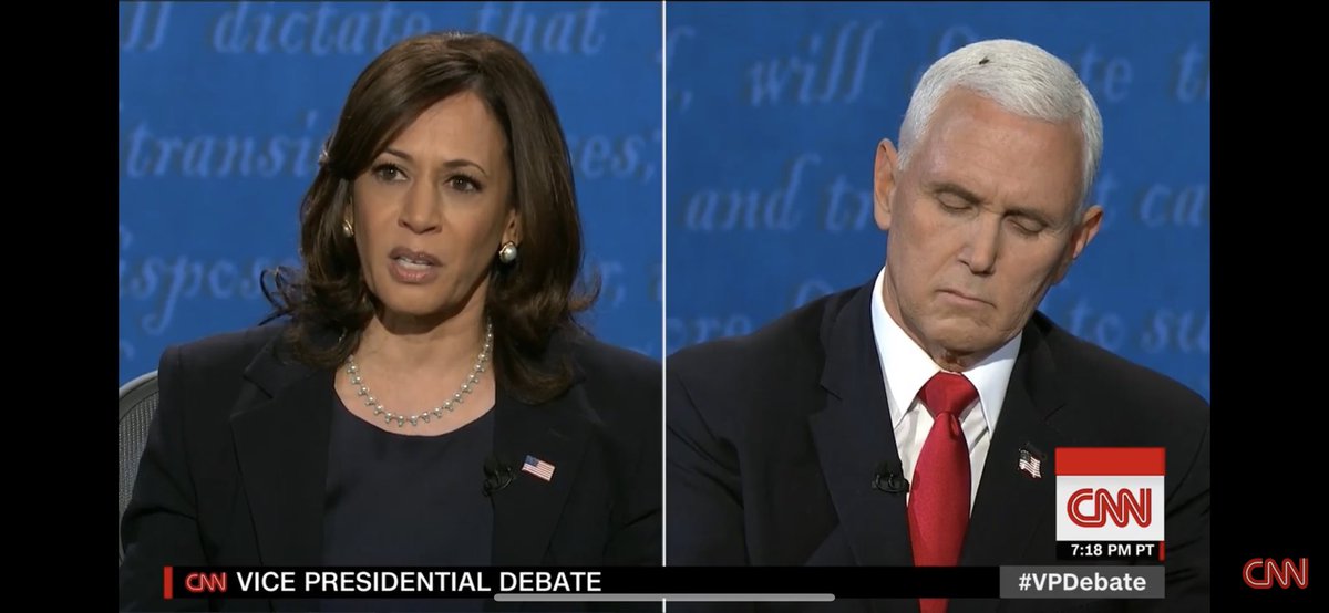 MarkSim15's tweet image. I’d like to be a fly on the wall...wait a minute.  #VPDebate