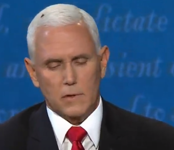 joebevvv's tweet photo. The fly is drawn to the shit coming out of Pences mouth #DemocraticFly https://t.co/6cBrU4DnaA