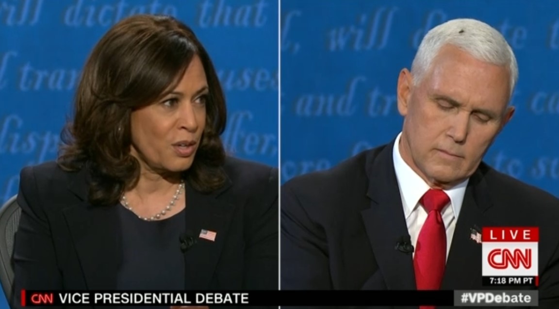 SirHatchporch's tweet image. Pence denying that the U.S. is racist while having a fly stuck to his head is my favorite moment in this entire debate. 

#VPDebate 
#LordOfTheFlies