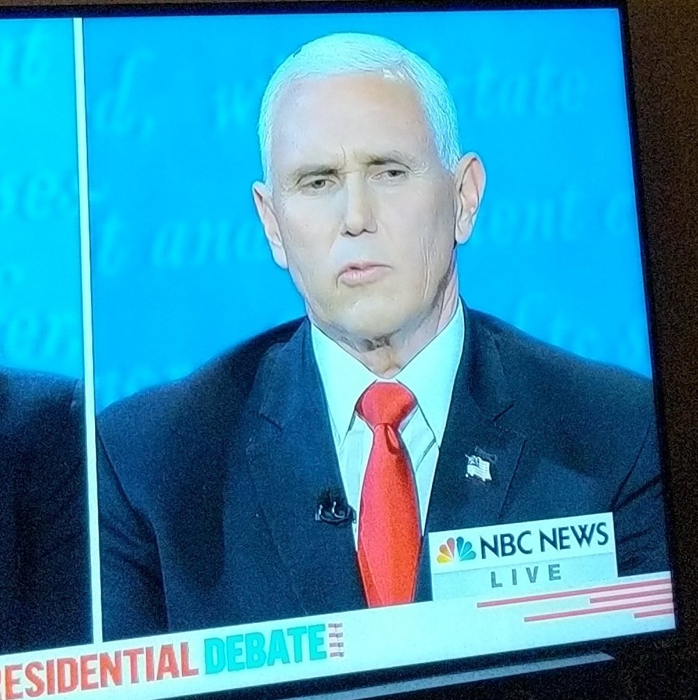 MA_Stapleton's tweet image. That's a fly on Pence's head. And flys are attracted to bull shit.