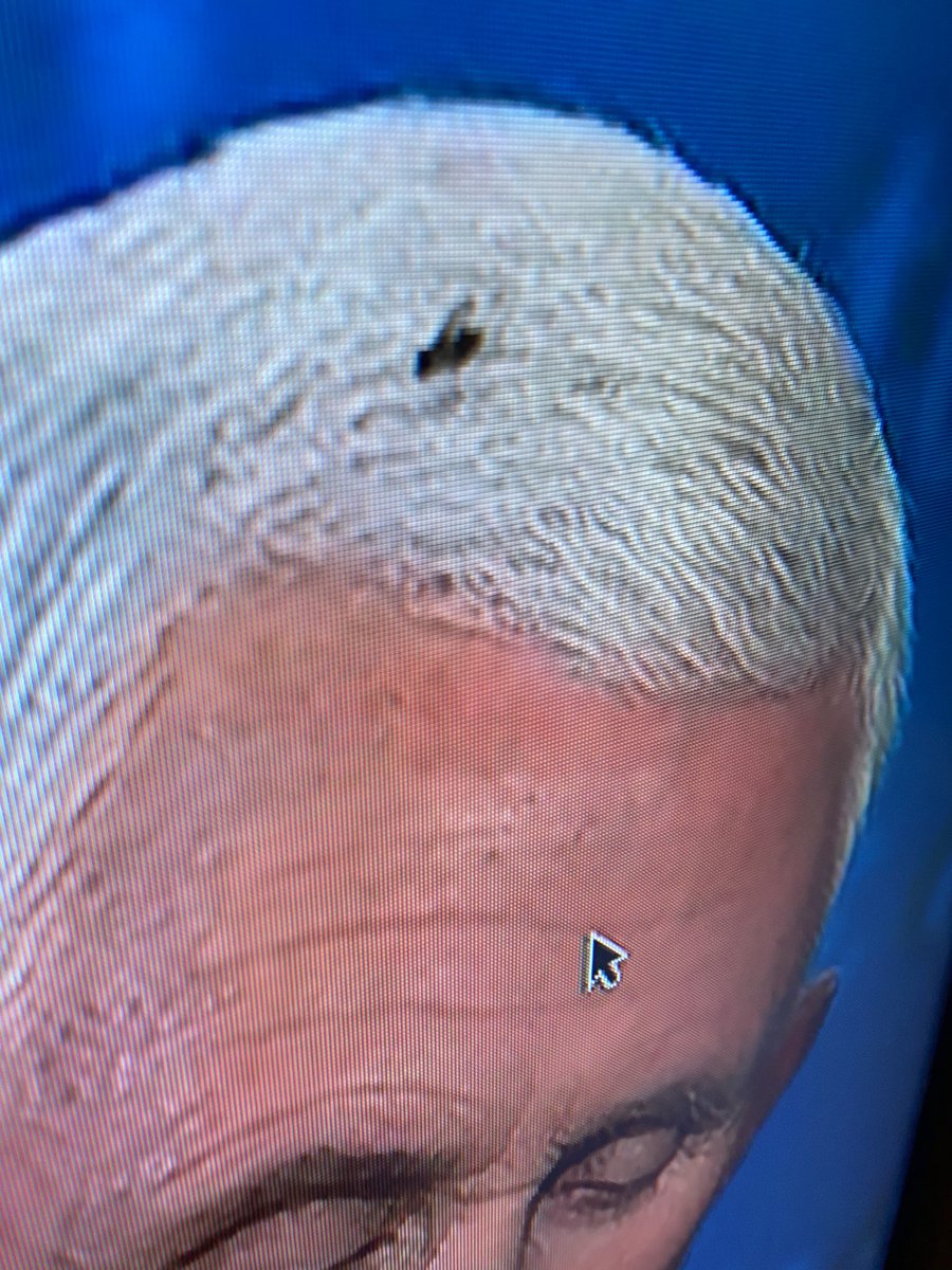 Olivia_Beavers's tweet photo. There appeared to by a fly on VP Pence’s head for that last answer https://t.co/9o3cWxuWml