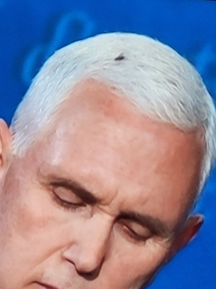 ReverbertatingT's tweet image. That fly is winning the debate

#Debates2020 
#DebateNight 
#BidenHarris2020 #VPDebates
