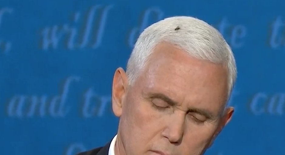 A fly just landed on Pence's hair for... an uncomfortably long time