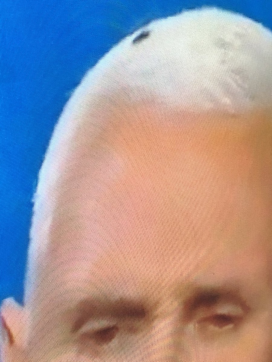 FlyOnMikePence3's tweet image. Look mom! I’m on TV!!