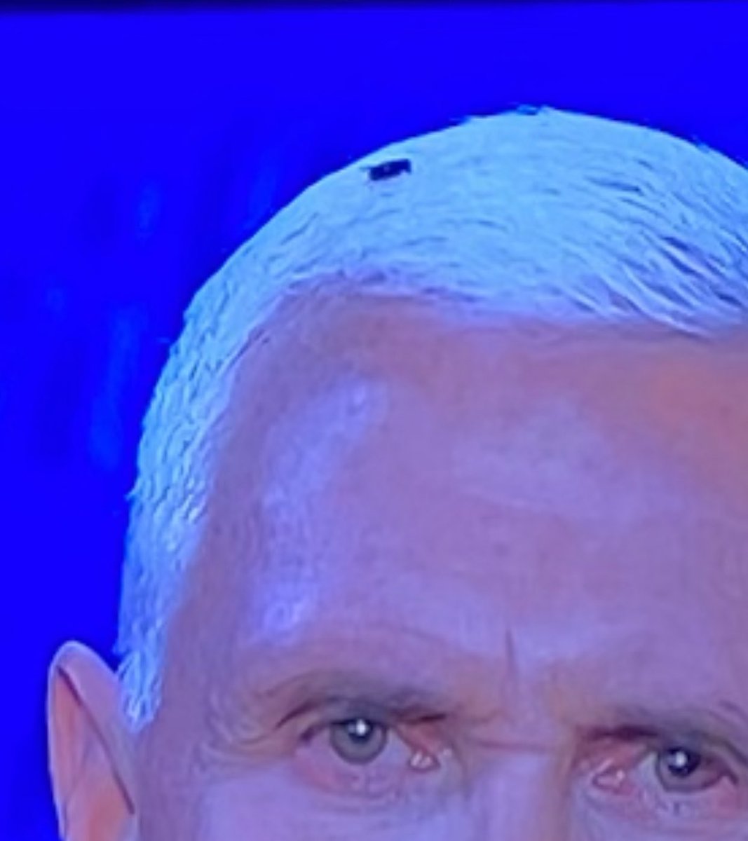 RandyRainbow's tweet image. So full of shit he’s attracting flies. #VPDebates