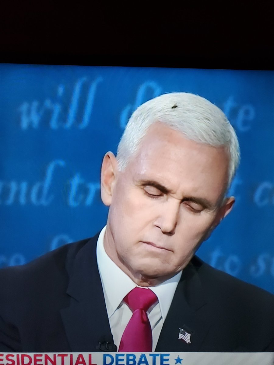He is so dead in the water, flies are landing on him <a href="/VP/">Vice President JD Vance</a> #Debates2020