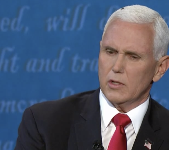 MissBeaE's tweet photo. In other news, a fly landed on @Mike_Pence's hair. #Debates2020 #debates https://t.co/3aV3yAUUtE